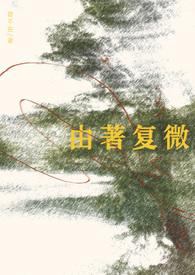 由著复微by乱佳音
