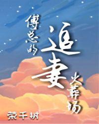 傅总的追妻火葬场短剧全集免费观看