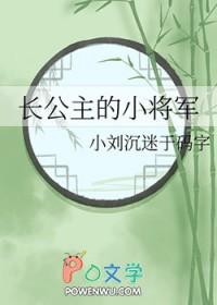 长公主的小将军gl百度