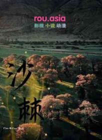 沙棘果浆的功效作用与主治与用量