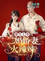 重生之七零年代二婚妻