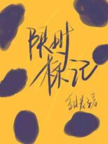 限时进入标志图片