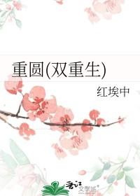 重圆 txt