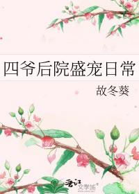 四爷后院盛宠日常话本
