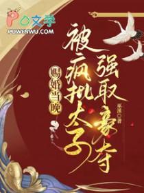 赐婚给太子