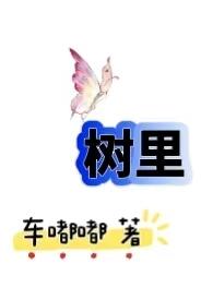 从农村包围城市(H)车嘟嘟 著