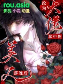 美人落魄后沦为大佬掌中物txt最新章节列表