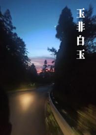 玉石非玉 剧透