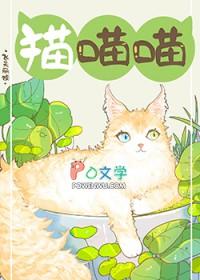 捡到流浪猫要怎么处理