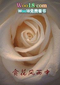贪花风雨中po第八章