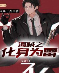 海贼之化身为雷txt八零