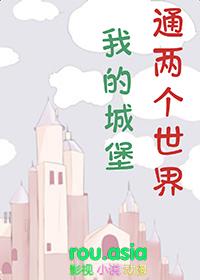 我的世界城堡的门怎么做