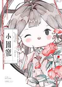 团宠小少年