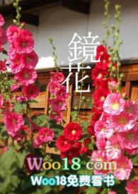 镜花 txt