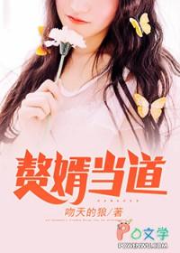 赘婿当道全文免费阅读全集