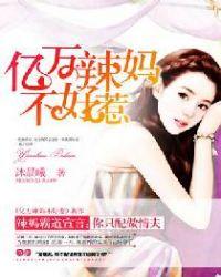 亿万辣妈不好惹同作者什么什么不好惹