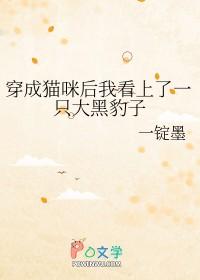 穿成猫咪后我看上了一只大黑豹子 一锭墨