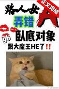 路人女a弄错卧底对象了番外