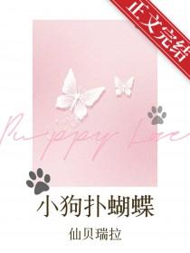 小狗捉蝴蝶视频
