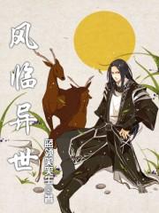 风临异世改编