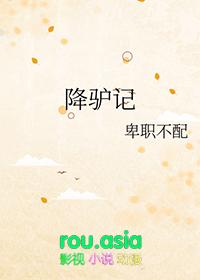 降驴记的结局