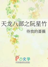 天龙八部之阮 星竹扮演者