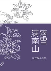 落雪满南山28