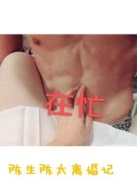 陈生陈太离婚记十八书屋