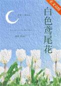 鸢尾 白