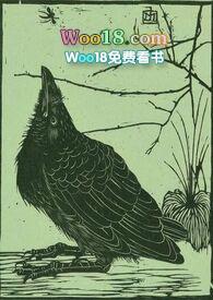 空壳画眉丸动漫