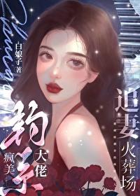 疯美钓系大佬追妻火葬场佬