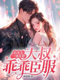 小夫人在线阅读