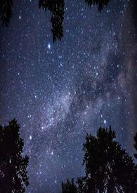 绝对吸引鹤吾txt