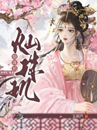 灿珠玑免费完整版