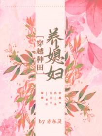 穿越种田养媳妇儿 作者赤东灵