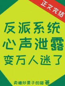 系统文反派