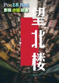 望北楼免费阅读