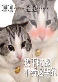 炉甘石怎么使用?