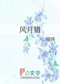 风月错晋江