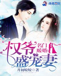 名门暖婚权爷盛宠妻宋风晚傅沉