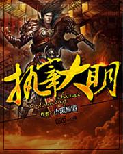 执宰大明免费阅读