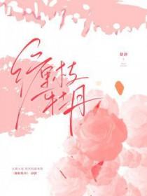 缠枝牡丹的优缺点