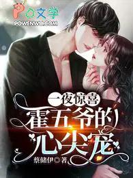 一夜惊喜霍五爷的心尖宠 蔡储伊