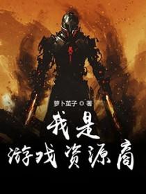 我是游戏编外人员无防盗