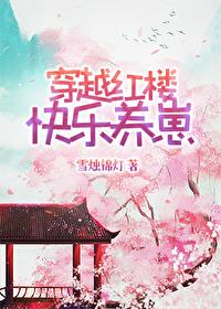 穿越红楼系统文