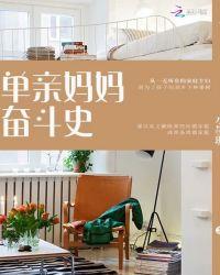 单亲妈妈奋斗记电视剧爱奇艺