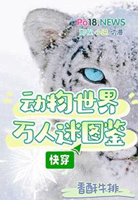 动物世界dwworld