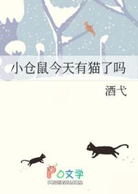 小仓鼠今天有猫了吗txt