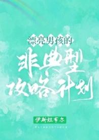漂亮男孩的非典型攻略计划()作者伊斯坦布尔