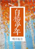 白杨少年免费阅读